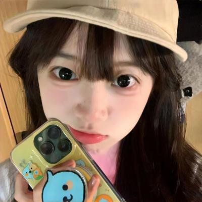 菜鸟老警第四季